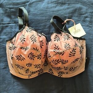 NWT Panache Tango Balconette Bra 36H